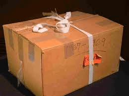 Albert Einstein in a box?